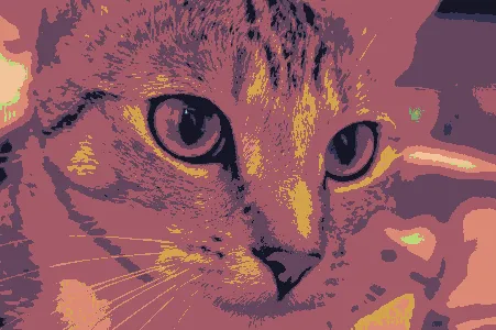 Cat photograph with fine fur detail mapped to the sixteen-color Retro 16 palette, without enlarged cells.